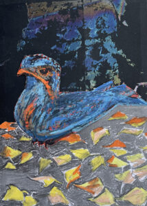 37.82 natteravncollage